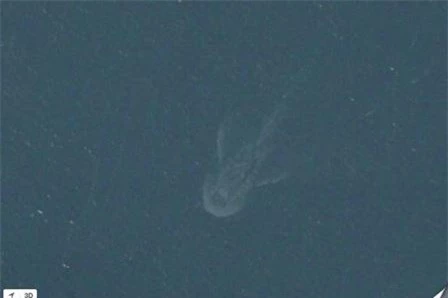 Hình chụp vệ tinh về sinh vật được cho là quái vật hồ Loch Ness
