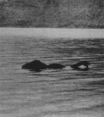 Thực hư bí ẩn về quái vật hồ Loch Ness - ảnh 2