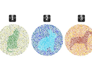 Trắc nghiệm: Con vật nào bạn nhìn thấy rõ nhất?