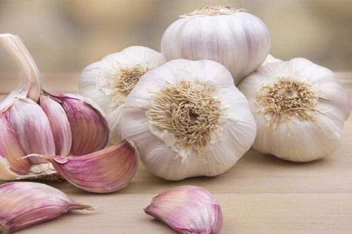 Những loại thực phẩm bỏ vào tủ lạnh sẽ dễ sinh độc, bà nội trợ nào cũng cần biết để tránh