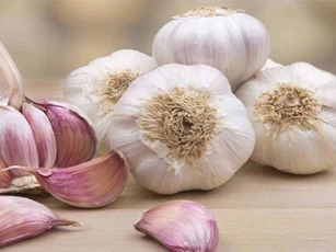 Những loại thực phẩm bỏ vào tủ lạnh sẽ dễ sinh độc, bà nội trợ nào cũng cần biết để tránh
