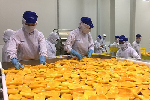 Xuất khẩu nông sản: 'Tươi hoá héo, héo thành tươi'