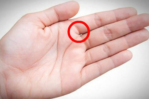 Nhìn vào khe hở giữa ngón tay có thể biết ngay ai giàu sang, ai nghèo khó cả đời