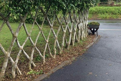 Những bức ảnh nhìn hoàn hảo đến mức khiến người xem phải hoang mang không biết đây là thật hay giả