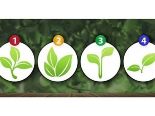 Trắc nghiệm: Chồi non bật mí năng khiếu của bạn