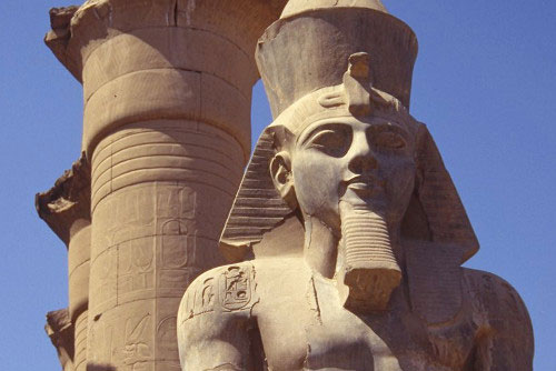 Sự thật thú vị về những ông hoàng đông con