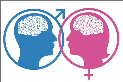 Trắc nghiệm: Bạn có bộ não của nam hay nữ?