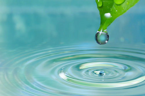 Sống khôn ngoan phải biết khắc cốt ghi tâm 4 điều này thì đời mới sướng lên được