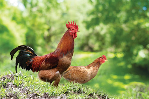 'Số trời' đã định, 3 con giáp dễ trúng số độc đắc, tiền tiêu không hết trong tháng 6, 7 Dương lịch