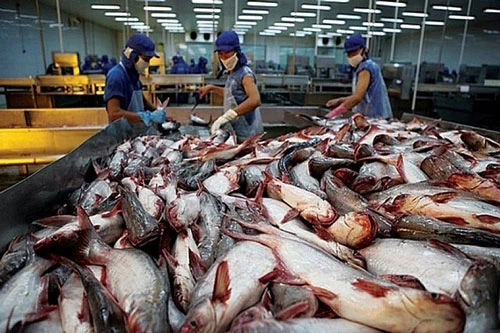 Xuất khẩu cá tra giảm tới 39% (Ảnh Internet)
