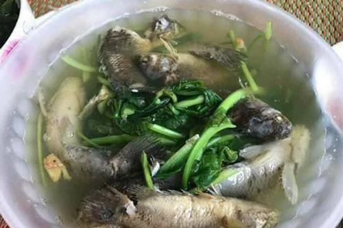 Vợ vụng ra tay nấu canh cá rô rau cải nguyên con, trắng ợt: "Chồng mắng te tua, chị em cười bò"
