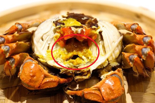 Sự thật về phần màu vàng trong cua biển, ai nghĩ là "gạch" đều sai hết