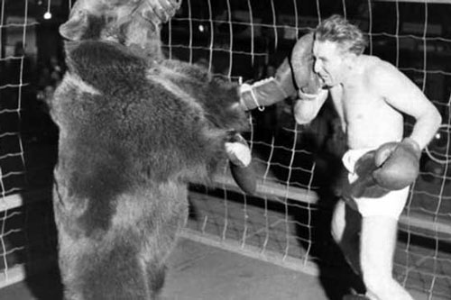 Hồ sơ thất lạc về trận "Võ sĩ giác đấu" duy nhất ở thế kỷ XX