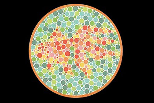 Trắc nghiệm: Bạn nhìn thấy điều gì đầu tiên?