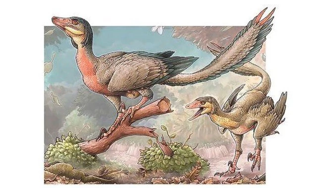 Tìm thấy hóa thạch của loài kết nối giữa khủng long và chim - 1