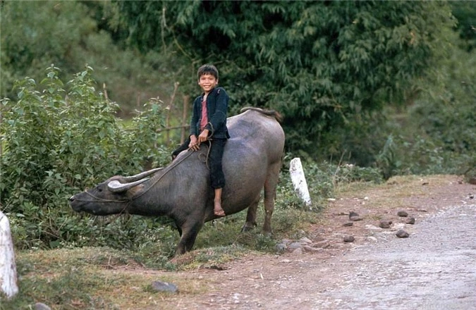 ve binh yen hiem co cua son la trong loat anh mau nhung nam 1990