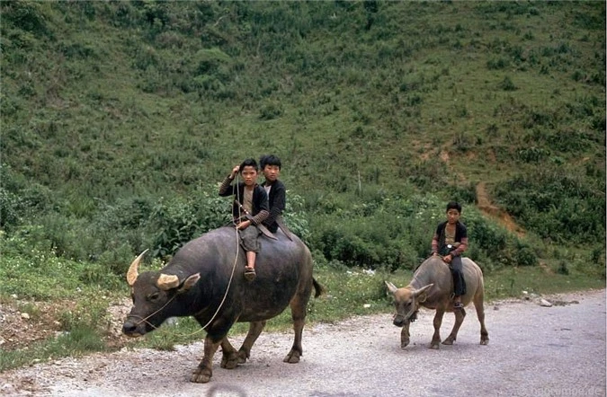 ve binh yen hiem co cua son la trong loat anh mau nhung nam 1990