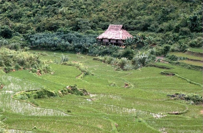 ve binh yen hiem co cua son la trong loat anh mau nhung nam 1990