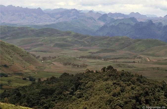 ve binh yen hiem co cua son la trong loat anh mau nhung nam 1990