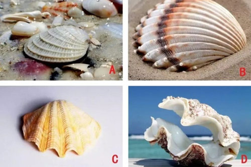 Trắc nghiệm: Bạn có sở hữu 'mị lực như yêu ma', 'cám dỗ như mật ngọt'?