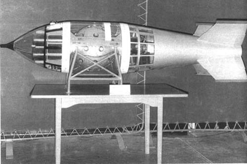 Dùng chim, chó, dơi… đánh trận