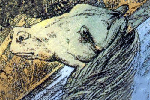 Trắc nghiệm: Con vật đầu tiên bạn nhìn thấy là gì?