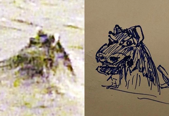 Hình ảnh nghi là đầu quái vật Nessi do ông Bright chụp được có nét tương đồng với bản phác thảo vào năm 1972 của tiến sỹ Robert Rines.
