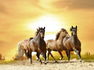 Top 4 con giáp là lãnh đạo dễ bị nhân viên ghét, cẩn thận kẻo bị 'đâm sau lưng'