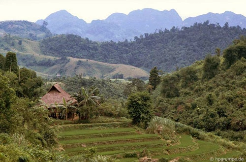 Ngôi nhà trên những thửa ruộng bậc thang đẹp kỳ vĩ là nơi ở của nhiều đồng bào dân tộc thiểu số như dân tộc Mường, Thái, H'Mong, Tày, La Ha.