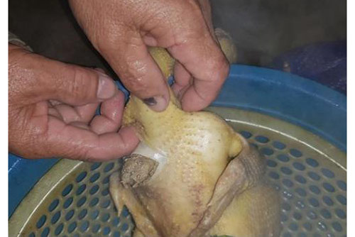 Qua nhà người yêu hí hửng mổ gà, luộc xong cả nhà "sởn gai ốc" khi nhận ra điều này