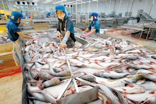 Tăng cường phân phối, tiêu thụ nội địa mặt hàng thủy sản