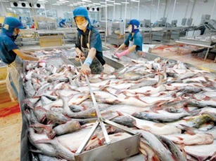 Tăng cường phân phối, tiêu thụ nội địa mặt hàng thủy sản