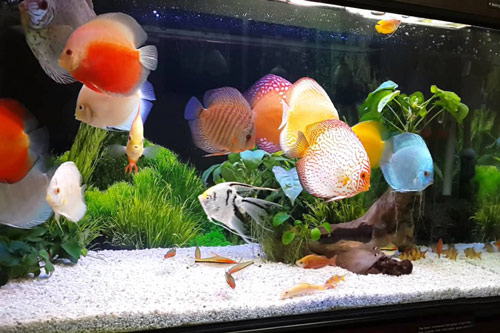 8 điềm báo nếu gặp phải bạn dễ gặp nạn “từ trên trời rơi xuống” 