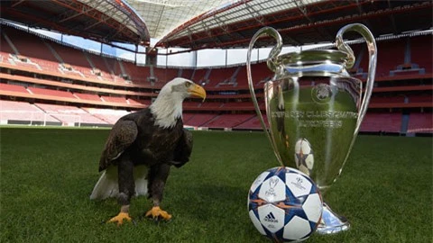Chú đại bàng linh vật của Benfica, đội sở hữu sân Da Luz, nơi sẽ đăng cai trận chung kết Champions League mùa này