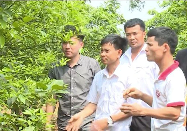 HTX dịch vụ nông nghiệp Kiên Thọ đã giúp thành viên tăng thu nhập (Ảnh: TL)