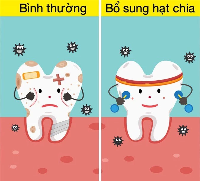 10 tác dụng &#34;thần thánh&#34; của hạt chia: giàu canxi hơn sữa, giúp giảm cân lại tốt cho tim - 2