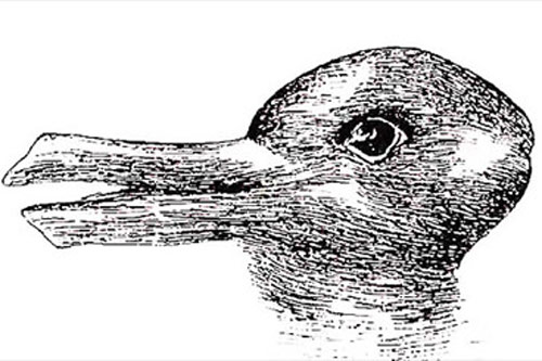 Trắc nghiệm: Con vật bạn thấy bộc lộ cách yêu của bạn