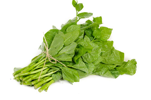 Lấy 1 nắm rau mồng tơi và làm theo cách này, da trắng như đi spa mà không lo mụn hay bắt nắng