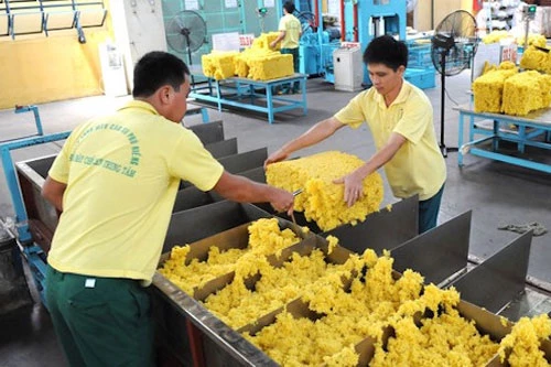 Xuất khẩu cao su của Việt Nam sẽ phải đối mặt với nhiều khó khăn (Ảnh: Internet) 