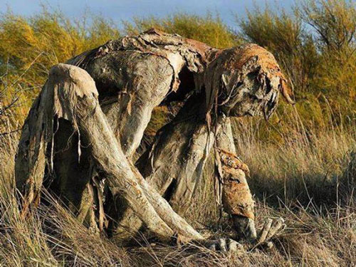 Buổi tối gặp những bức tượng ở đầm lầy này đảm bảo du khách hết hồn bỏ chạy