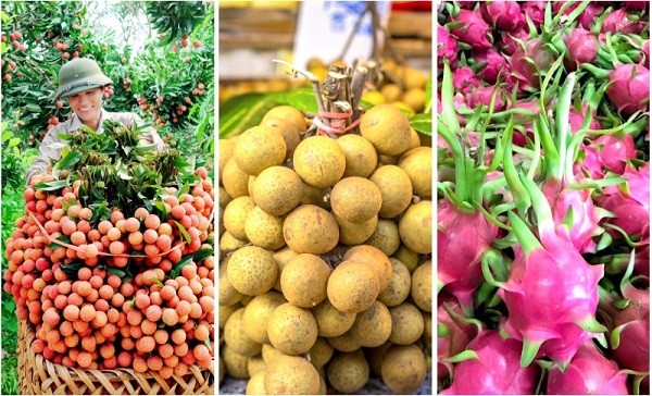 Kết nối doanh nghiệp nông sản, thực phẩm Việt Nam với đối tác tỉnh Sơn Đông (Trung Quốc)