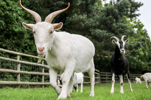 Xui xẻo ập xuống, 3 con giáp dễ mất tiền mất của, đen đủi đủ đường trong 2 ngày cuối tuần này