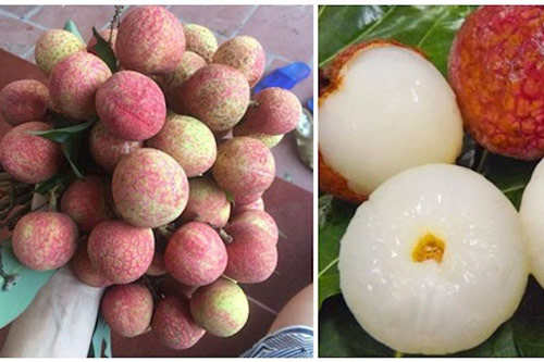 Người bán vải không bao giờ tiết lộ: Cách chọn vải thiều tươi ngon, không sâu đầu