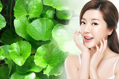 Rau má có công dụng "thần thánh" như thế nào đối với nhan sắc mà lại khiến chị rần rần uống hè này?