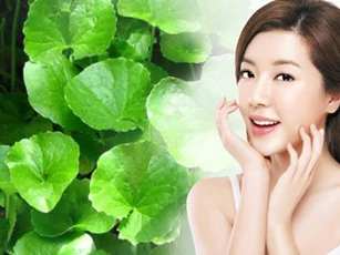 Rau má có công dụng "thần thánh" như thế nào đối với nhan sắc mà lại khiến chị rần rần uống hè này?