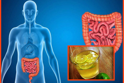 Loại nước uống vào buổi sáng tốt như "thần dược", làm sạch đường ruột một cách hiệu quả