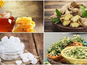 Chuyên gia Đông y chia sẻ cách trị ho đờm cho bé bằng hoa bưởi cực hiệu quả