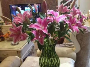 Thêm một viên thuốc nhỏ trong nước, thời gian hoa nở sẽ được nhân đôi