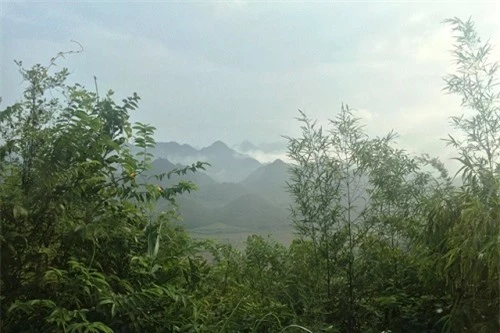 Hình ảnh núi đôi trong sương mù