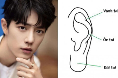 Tướng tai của người đàn ông phú quý, tiền tiêu không hết, người phụ nữ nào lấy được có thể hưởng phúc cả đời